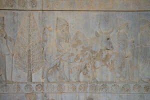 Perszepolisz, Irán (fotó) alkotó: Unbekannt