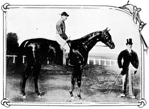 Datolyaszilva, 1911 alkotó: Unbekannt