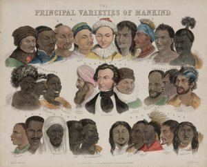 Fiziognómia „Az emberiség fő változatai”, 1850. május 3 alkotó: Unbekannt