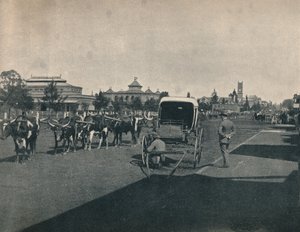 Pietermaritzburg, 1900. alkotó: Unbekannt