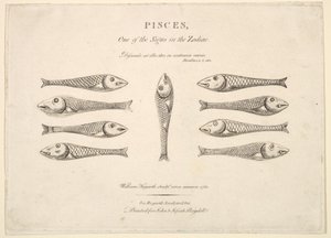 Halak: Hogarths Quadrille Fish, kb. 1730. alkotó: Unbekannt