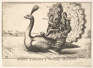 14. tábla: Az argonauták Eurytus, Echion és Aethalides Eurito Echione e Etalide Argonote..., 1664. alkotó: Unbekannt