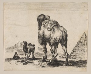 18. tábla: teve hátulról nézve, jobb oldalon piramis, Különféle állatok Di...-ról, 1641 után. alkotó: Unbekannt
