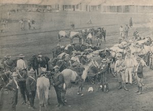 Vízvezeték-szerelők Ló, c1900. alkotó: Unbekannt