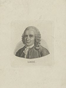 Carl Linnaeus portréja 1707-1778, c. 1780. alkotó: Unbekannt