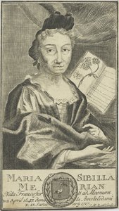 Maria Sibylla Merian portréja 1647-1717, 1755. alkotó: Unbekannt