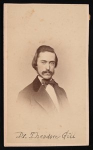 Theodore Nicholas Gill portréja 1837-1914, 1860 körül. alkotó: Unbekannt