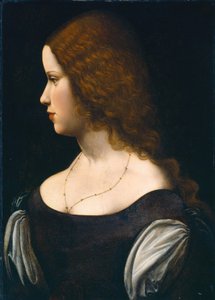 Fiatal hölgy portréja, c. 1500. alkotó: Unbekannt