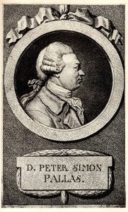 Pallas Péter zoológus és botanikus portréja 1741-1811, XIX. század eleje. alkotó: Unbekannt