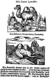 A fajok pre-binomiális osztályozása, 1644 alkotó: Unbekannt