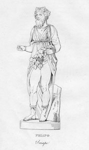 Priapo Priape, c1850 alkotó: Unbekannt