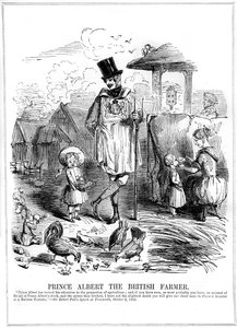 Albert herceg, a brit farmer, 1843 alkotó: Unbekannt