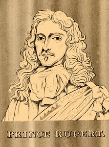 Rupert herceg, 1619-1682, 1830. alkotó: Unbekannt