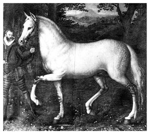Erzsébet királynő ló, 1896 alkotó: Unbekannt