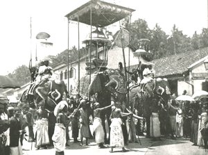 Vallási körmenet, Colombo, Ceylon, 1895. alkotó: Unbekannt