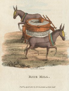 Rizsmalom, 1813 alkotó: Unbekannt