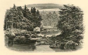 River Scene, Langdale, 1890. alkotó: Unbekannt