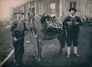 Saetersdalen Highlanders falka lóval, 1914. alkotó: Unbekannt
