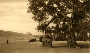 Saqqara – A lépcsős piramis a Sycomore felől nézve, c1918-c1939. alkotó: Unbekannt
