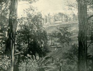 Jelenet Upper Gembrook-ban, Victoria államban, 1901. alkotó: Unbekannt