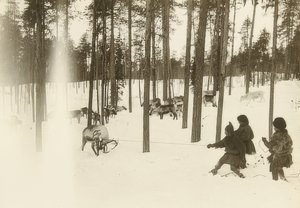 Svédország. Rongy (mag) rénszarvas csapdába ejtésekor. 1900 körül alkotó: Unbekannt