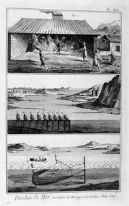 Tengeri halászat, hering és szardínia, 1751-1777 alkotó: Unbekannt