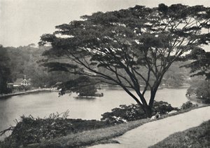 Tó, a Szent Fog Reed temploma és könyvtár Kandyban, a Victoria Drive-tól keletre nézve, 192 alkotó: Unbekannt
