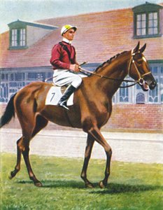 Senor, Jockey: J. Crouch, 1939 alkotó: Unbekannt