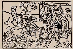 Pásztor. Rodericus Zamorensis: Az emberi élet tükréből, 1479 alkotó: Unbekannt