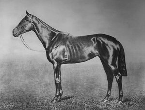 Kisasszony, 1905-1928, 1911 alkotó: Unbekannt