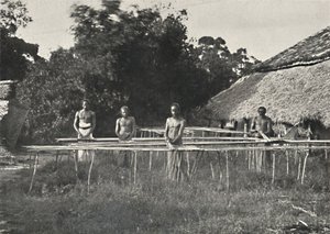 Szingaléz fahéjas munkások munkában, 1926 alkotó: Unbekannt