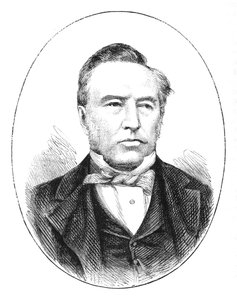 Sir Theophilus Shepstone, 1880 alkotó: Unbekannt