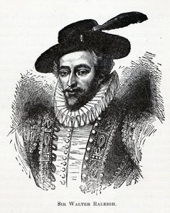 Sir Walter Raleigh, 1882 alkotó: Unbekannt