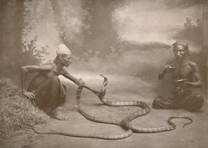 Kígyóbűvölők Hamadryads Kuy Cobrákkal, 1900. alkotó: Unbekannt