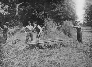 Katonák, akik a gazdákat segítik a széna bejutásával, 1915 alkotó: Unbekannt