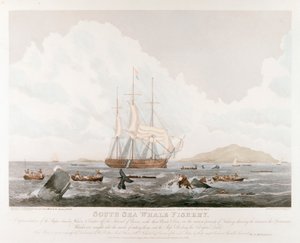 Déli-tengeri bálnahalászat, 1825 alkotó: Unbekannt