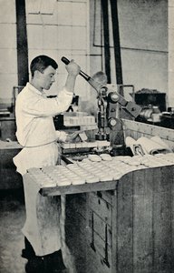 Bélyegző szappantömbök, c1917 alkotó: Unbekannt