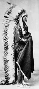 Álló Medve, a dakotai sziúk főnöke, az észak-amerikai alföldi indiánok, c1885-c1890 alkotó: Unbekannt