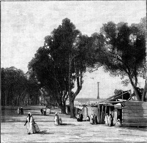 Utcai jelenet Pompeius oszlopával a távolban, Alexandria, Egyiptom, 1900 alkotó: Unbekannt