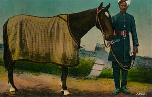 Syce, 1910 alkotó: Unbekannt