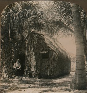 Nádfedeles kunyhó Cocoanut Grove-ban, Floridában, Amerikai Egyesült Államok, 1900 alkotó: Unbekannt