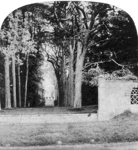 The Avenue, Guys Cliff, Warwick, XX. század eleje alkotó: Unbekannt