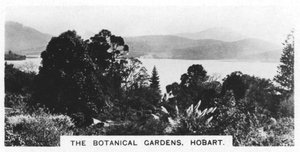Botanikus kert, Hobart, Tasmania, 1928 alkotó: Unbekannt