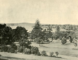 Sydney botanikus kertje, 1901. alkotó: Unbekannt