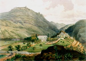 The Briars, St Helena, 19. század eleje, 1851 alkotó: Unbekannt