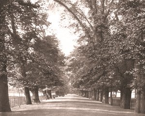 The Broad Walk, Oxford, 1894. alkotó: Unbekannt