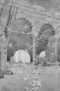 A galambok mecset udvara, 1913 alkotó: Unbekannt