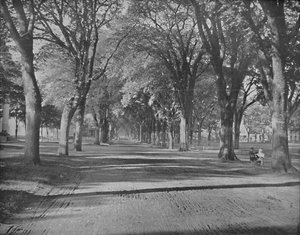 The Elms, New Haven, Conn., 1897. alkotó: Unbekannt