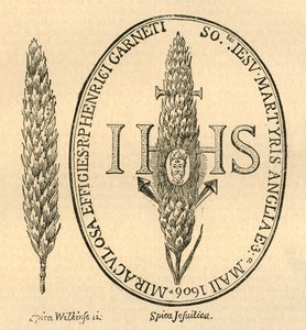 Az arc a szalmában. - Abbots Anthologia-ból, 1613, 1897. alkotó: Unbekannt