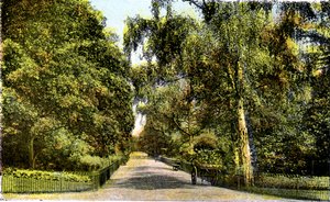 The Flower Walk, Kensington Gardens, London, XX. század alkotó: Unbekannt